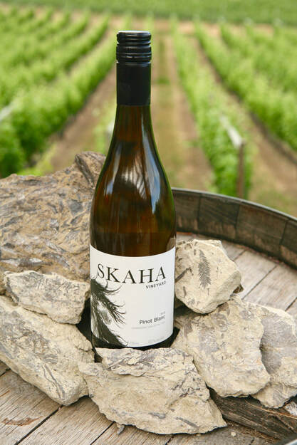 Skaha Vineyard White Wine sitting on a wine barrel overlooking the vineyard