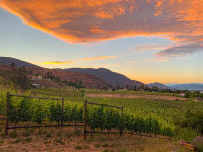 Orange and pink sunset over Skaha Vineyard