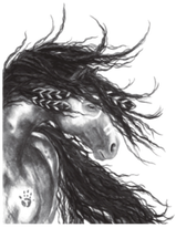 Skaha Vineyard Logo 