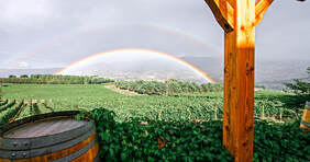 Two rainbows arching over Skaha Vineyard