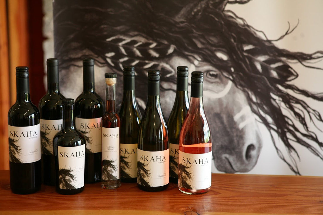 Nine bottles of Skaha Vineyard wine displayed on a wooden shelf in front of a horse painting 